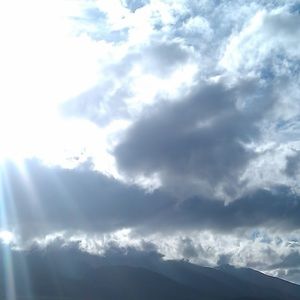 Meet your Posher, Danette